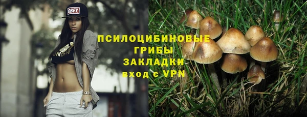 экстази Алексин